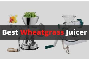 best wheatgrass juicers