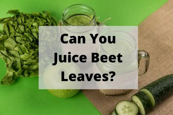Can you juice beet leaves